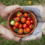 1992年开奖全记录:重温历史瞬间,揭秘幸运号码 1r8uuer