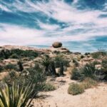 1998年福彩开奖结果完整回顾与历史数据分析 2191c0x4