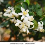 3d开奖号019最新结果公布,今日开奖详情揭晓 25ih64w4x