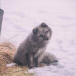 3D开奖历史查询:完整记录与最新结果汇总 3osaext7