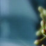 3d开奖历史开奖997前后关系深度解析 aakvir11