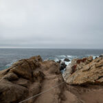 1998年开奖记录完整回顾与历史数据揭秘 dfjdsse