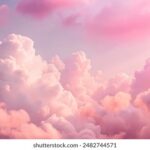 1998年全年完整开奖记录详细回顾 pbbc4r7