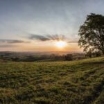 3D开奖历史中号码345前后关联规律深度解析 pimu1lm7f