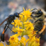 3d开奖历史开奖743前后关系深度解析与趋势预测 sk7rv5tgeh