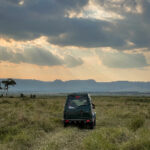 1998年开奖历史全记录与详细数据分析 tpq16kpx8a